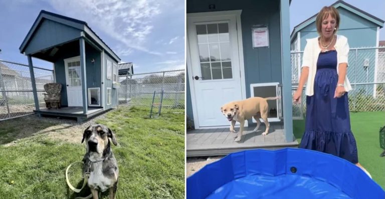 Tiny House Village at Animal Care Sanctuary
