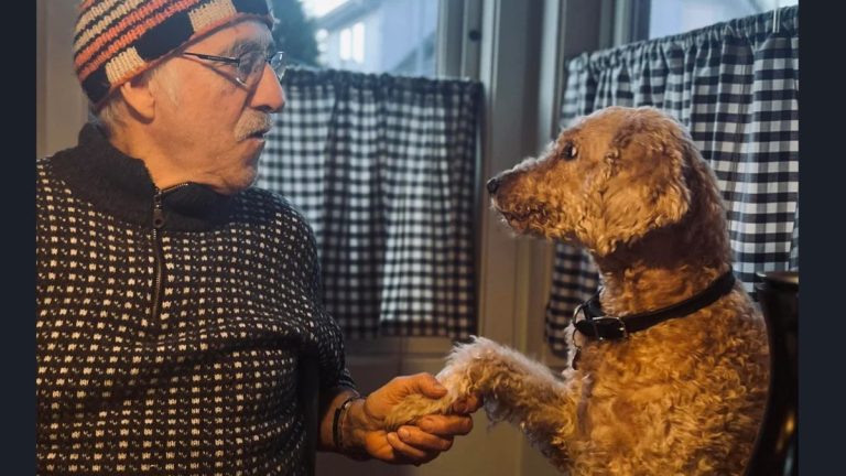 Dad Makes Breakfast Sandwiches for His Dog in the Sweetest Morning Routine