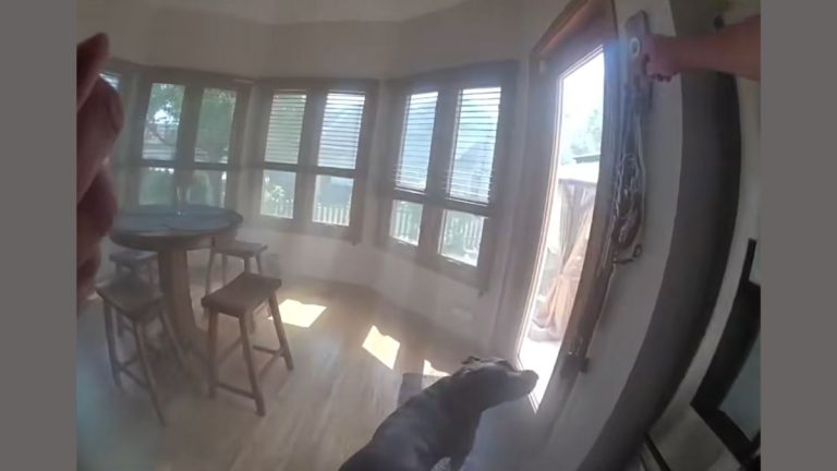 Watch: Cops Rescue Polite Pup Who Leads Them to His Leash During House Fire