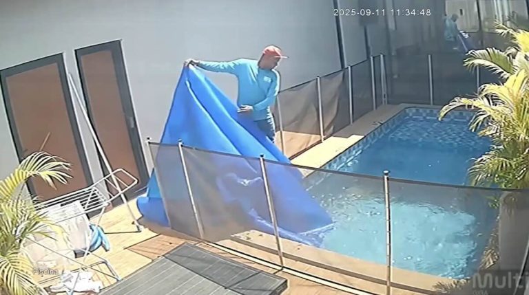 Dog Sinks to Bottom of Pool — Pool Cleaner Arrives With Only a Minute to Spare