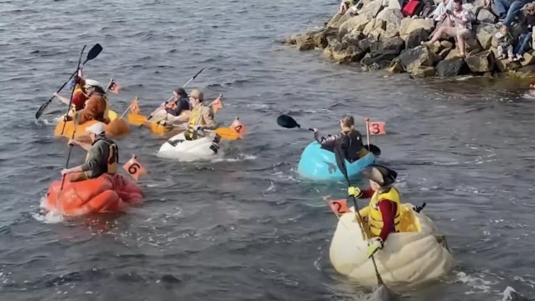 Will They Float or Sink? Paddlers Climb Into Giant Pumpkins for a Hilarious Regatta
