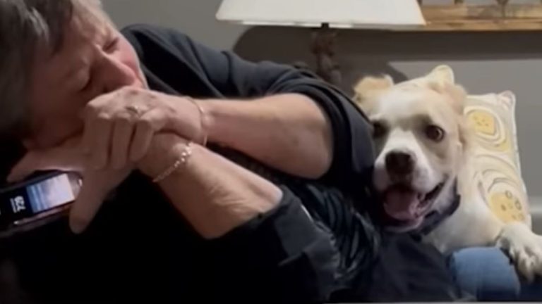 Dog’s First Meeting With Grandma Turns Into the Sweetest Case of Zoomies