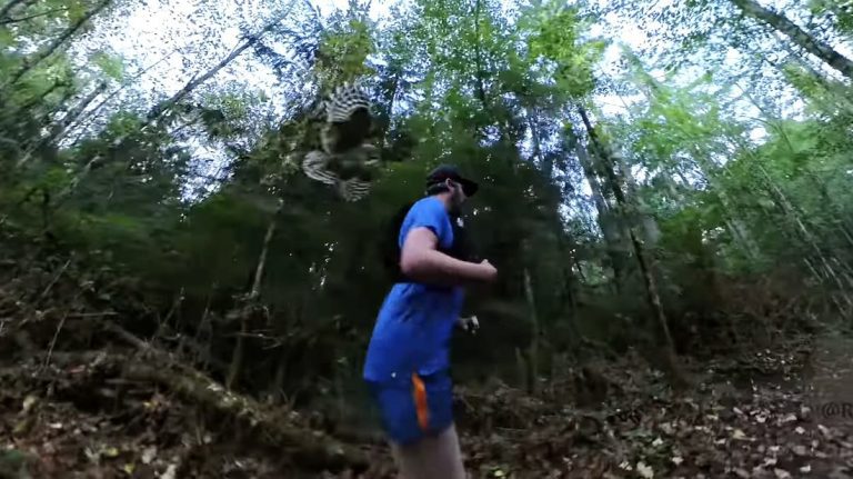 owl steals runner's hat