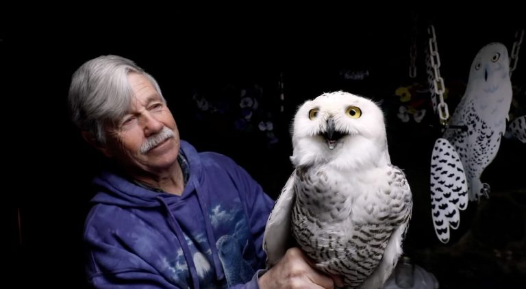 Norman Smith with snowy owl