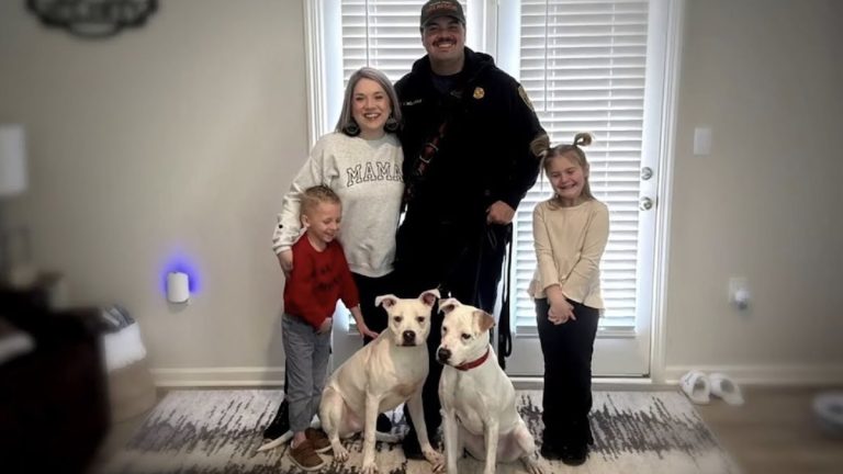 dogs rescued from fire reunited