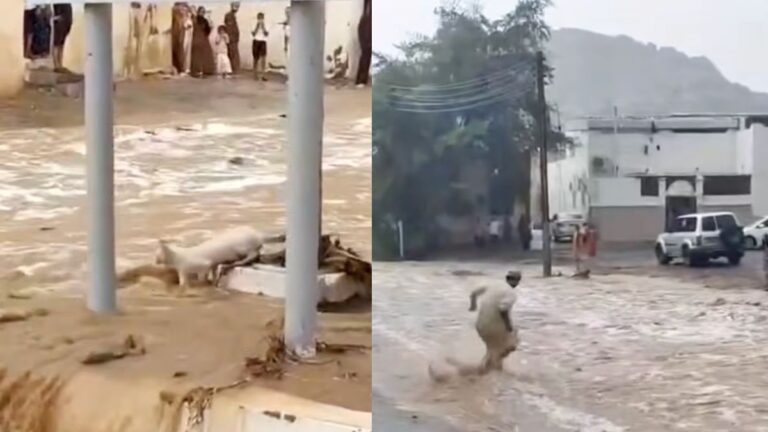 Hero Man Dashes Into Floodwaters to Rescue Cat in Oman