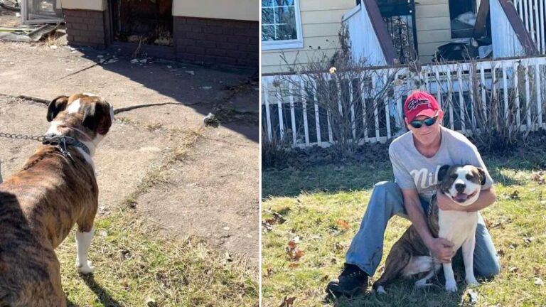 Man Saves Elderly Woman From Burning House — His Dog Sniffs Out Another Life
