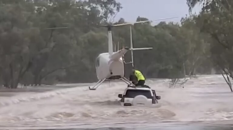 Trapped Dog Clings to Car as Helicopter Lands on Roof in Daring Flood Rescue