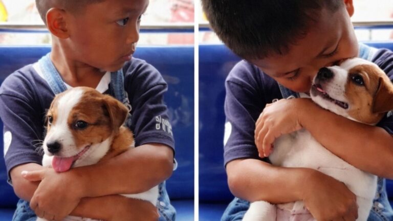 Boy’s Precious Moment With Puppy on Bus Captures Hearts Online