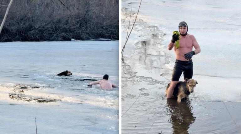Ice Swimmer Smashes Through Frozen River to Save Drowning Dog