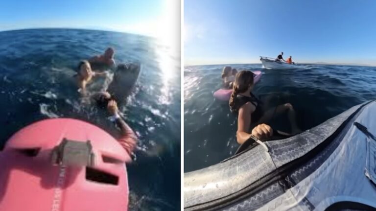 Kitesurfers Heroically Save Father and Daughter Swept Away From Shore