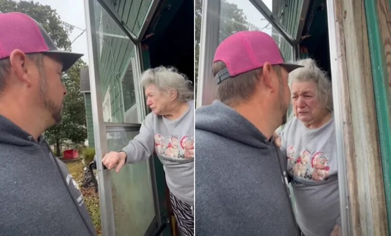 85-Year-Old Widow Needed Firewood. A Tree Company Gave Her Much More
