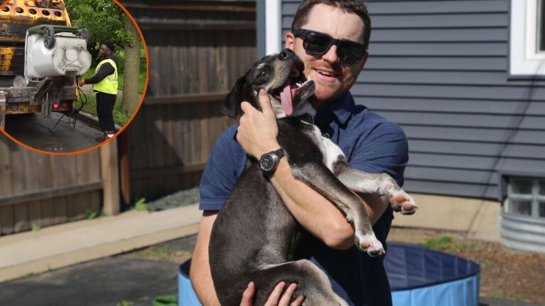 Garbage Truck Crew Saves Puppy from Trash Bin Thanks to Lucky Accident