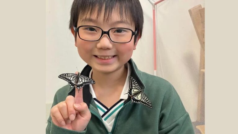 Boy Discovers Swallowtail Butterflies Remember Caterpillar Life And Pass Those Memories To Their Offspring