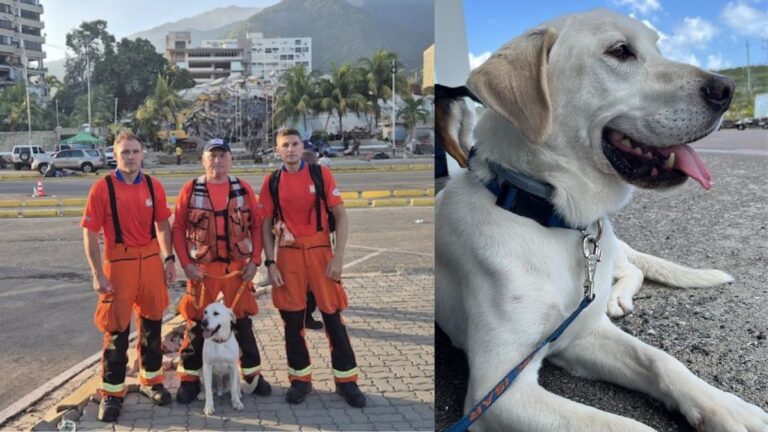 Rescue Dog Once Given a Second Chance is Now a ‘Hero Of Venezuela’