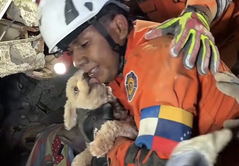 Dog Kisses Rescuer After Being Trapped for 5 Days Beneath Collapsed Building In Venezuela