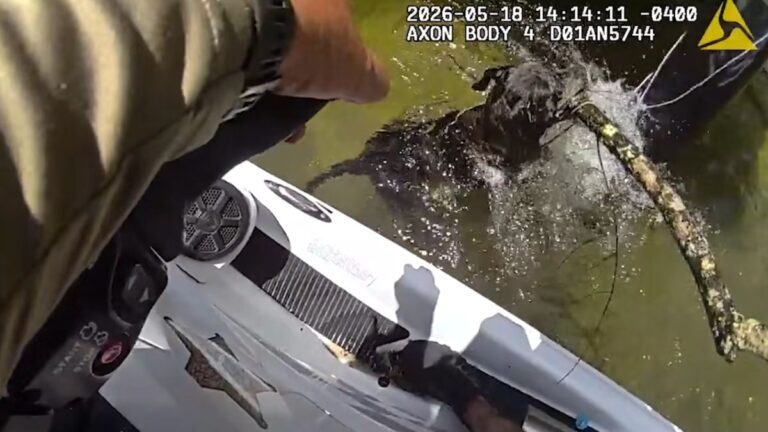 Dog Tangled In River Refuses To Drop Her Stick During Rescue By Florida Marine Deputy
